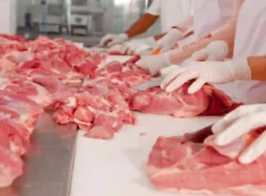 How to preserve Eid ul Adha meat