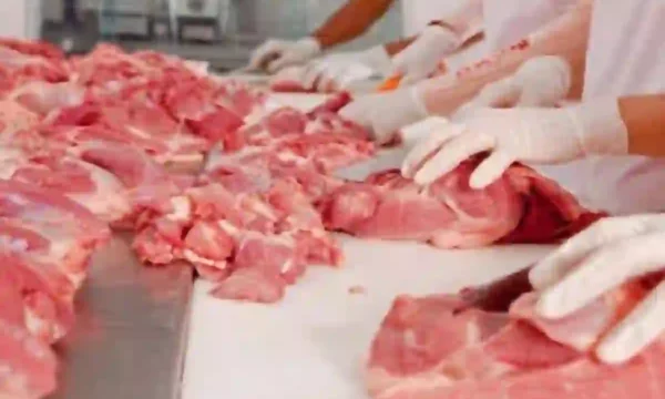 How to preserve Eid ul Adha meat