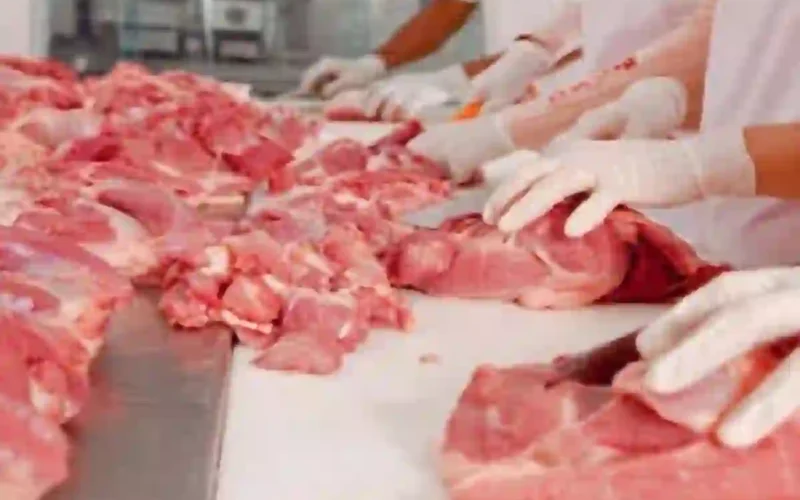 How to preserve Eid ul Adha meat