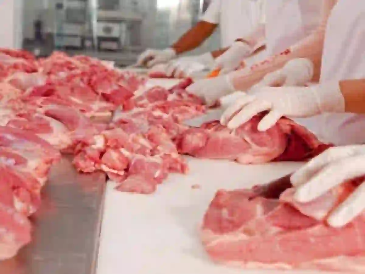 How to preserve Eid ul Adha meat