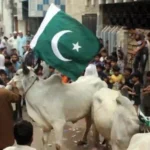 Eidul Adha holidays Pakistan 2026