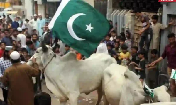 Eidul Adha holidays Pakistan 2026