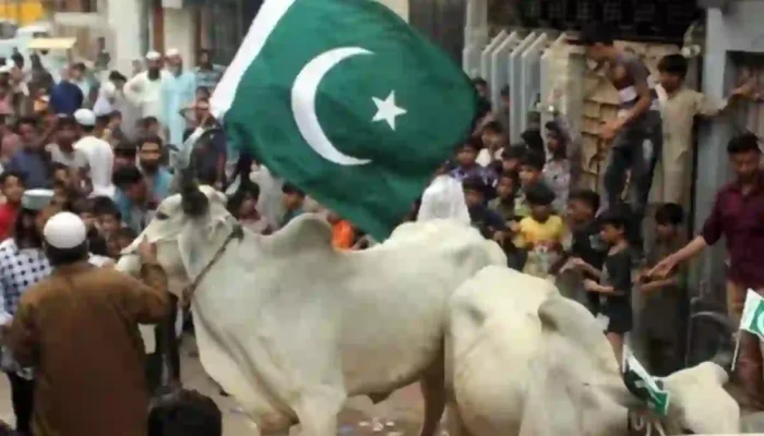 Eidul Adha holidays Pakistan 2026