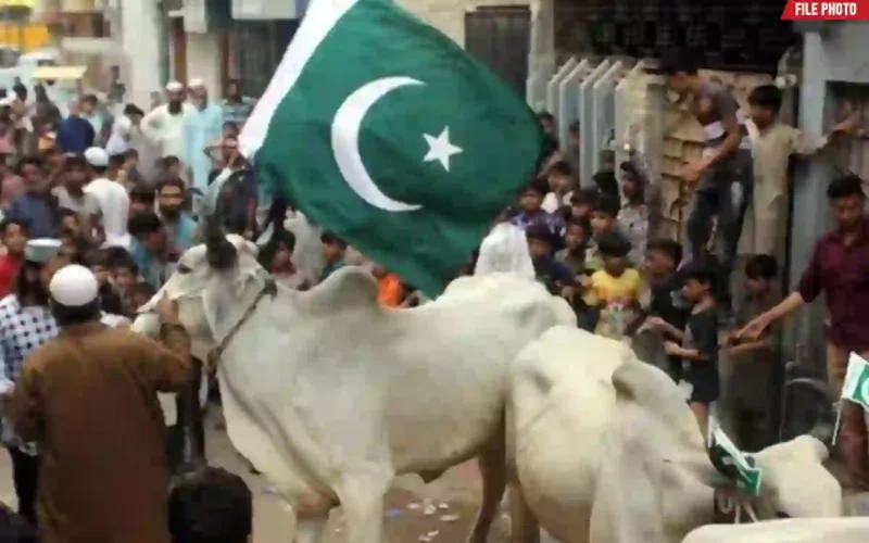 Eidul Adha holidays Pakistan 2026