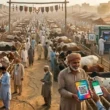 SBP Go Cashless campaign 2026