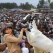 Eid ul Adha 2026 holidays Pakistan