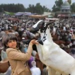 Eid ul Adha 2026 holidays Pakistan