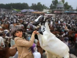 Eid ul Adha 2026 holidays Pakistan