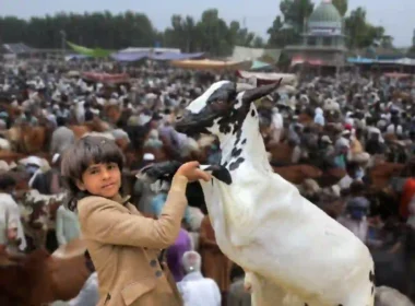 Eid ul Adha 2026 holidays Pakistan