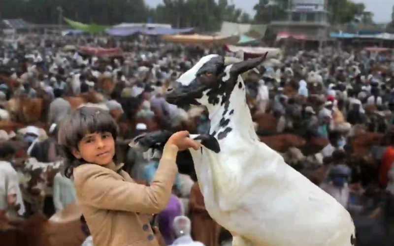 Eid ul Adha 2026 holidays Pakistan