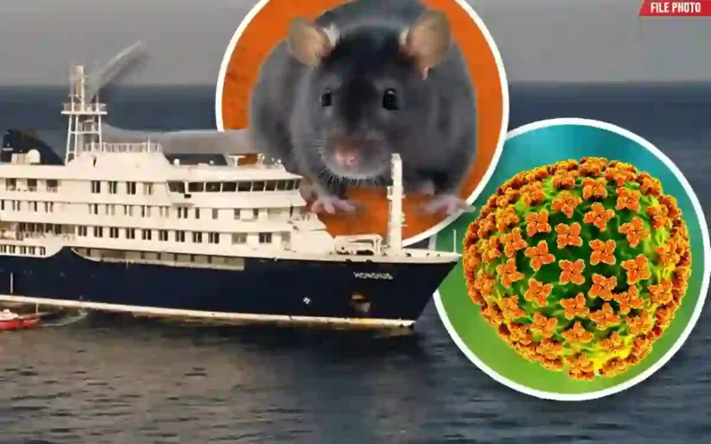 Hentavirus