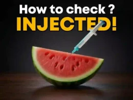 Watermelon chemical injection rumors
