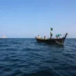 Sindh fishing reforms