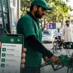 petrol subsidy