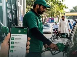 petrol subsidy
