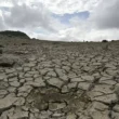 El Niño