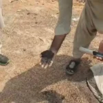 Government wheat stocks stored at warehouses in Karachi’s Landhi area