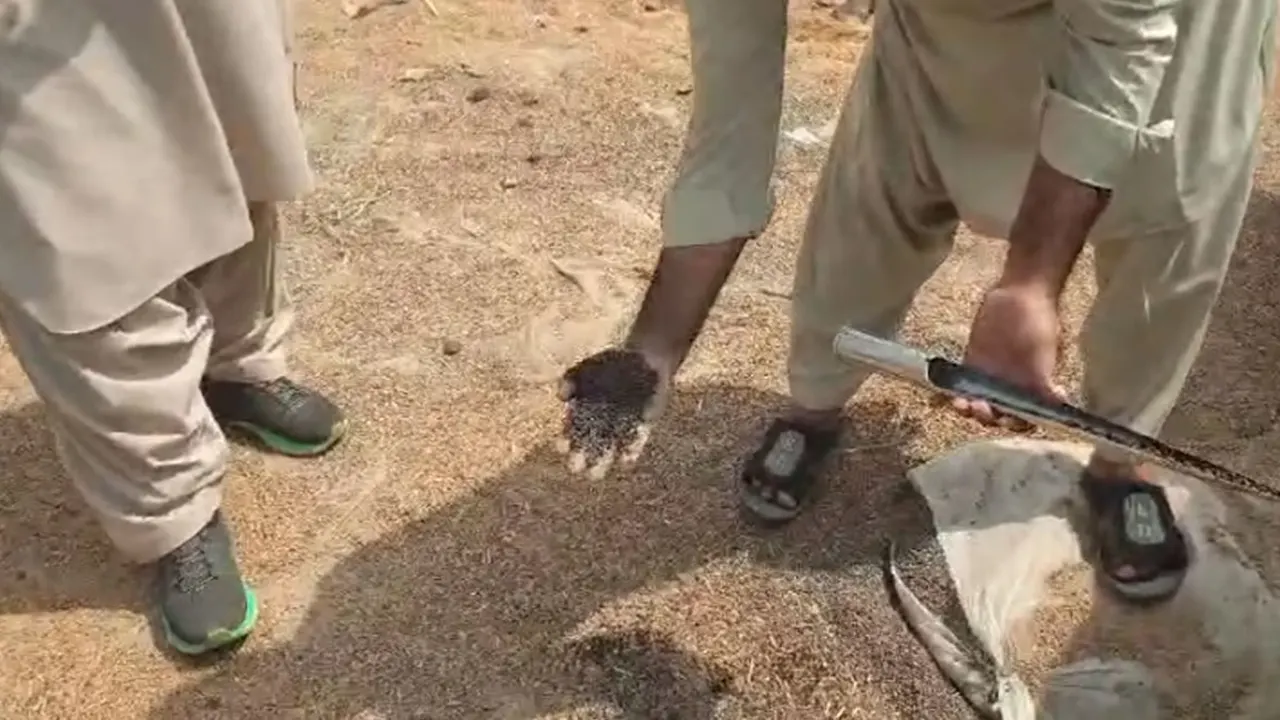 Government wheat stocks stored at warehouses in Karachi’s Landhi area